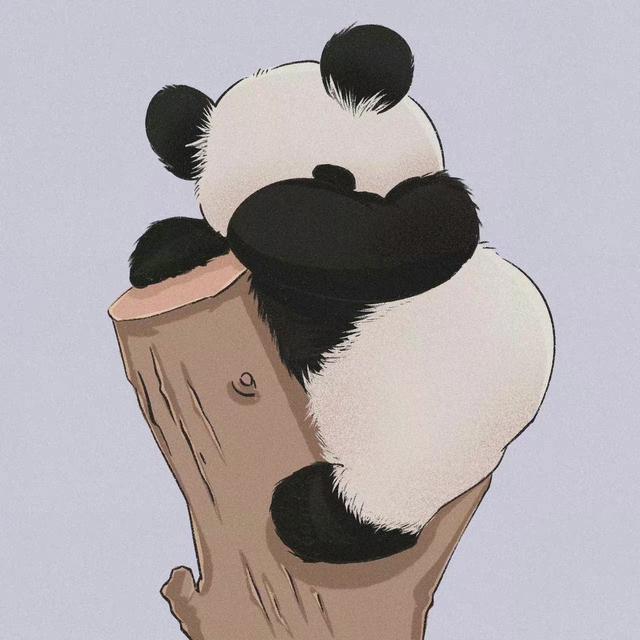 xiaoaoshanlin